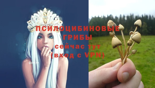 ALPHA PVP Верея