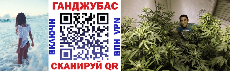 Каннабис план  Выборг 